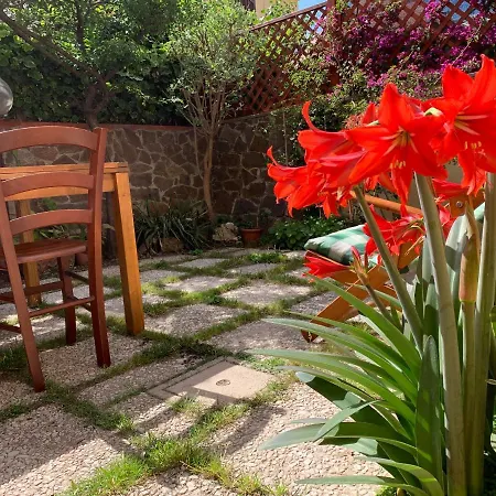 Apartment Intero Alloggio Con Giardino